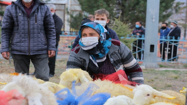 Aksaray Valiliği koyunları telef olan Şerife nineyi sevindirdi